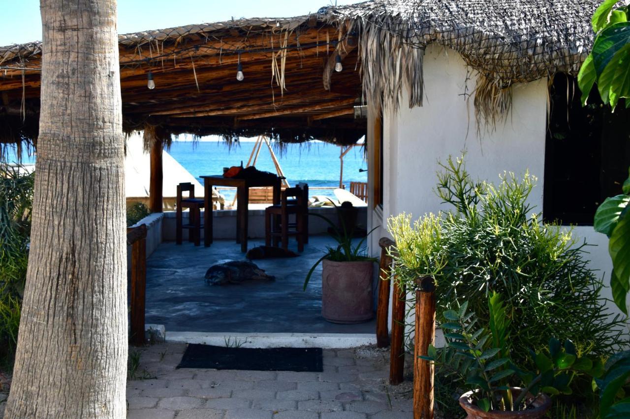 Rustico Lounge - Property In Front Of The Beach San Jose del Cabo Ngoại thất bức ảnh